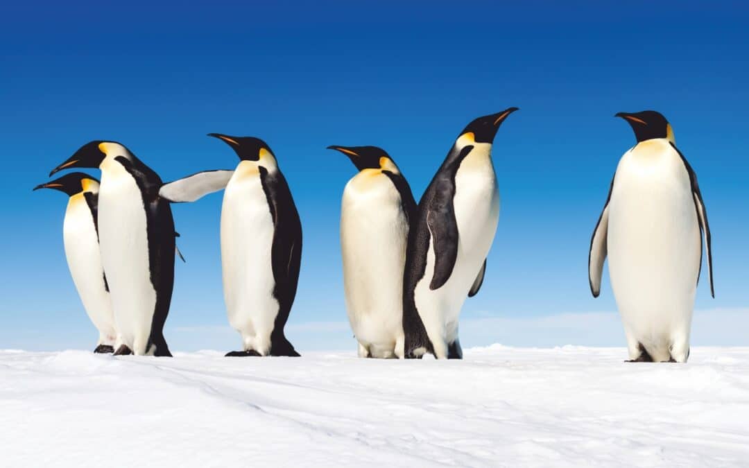 Perfektes Sehen bei jedem Wetter