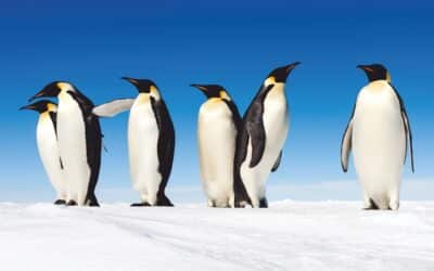 Perfektes Sehen bei jedem Wetter